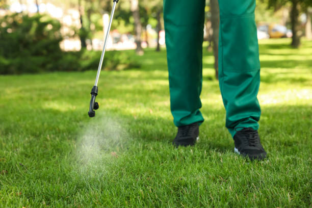 Best Termite Control Services  in Dianapolis, IN